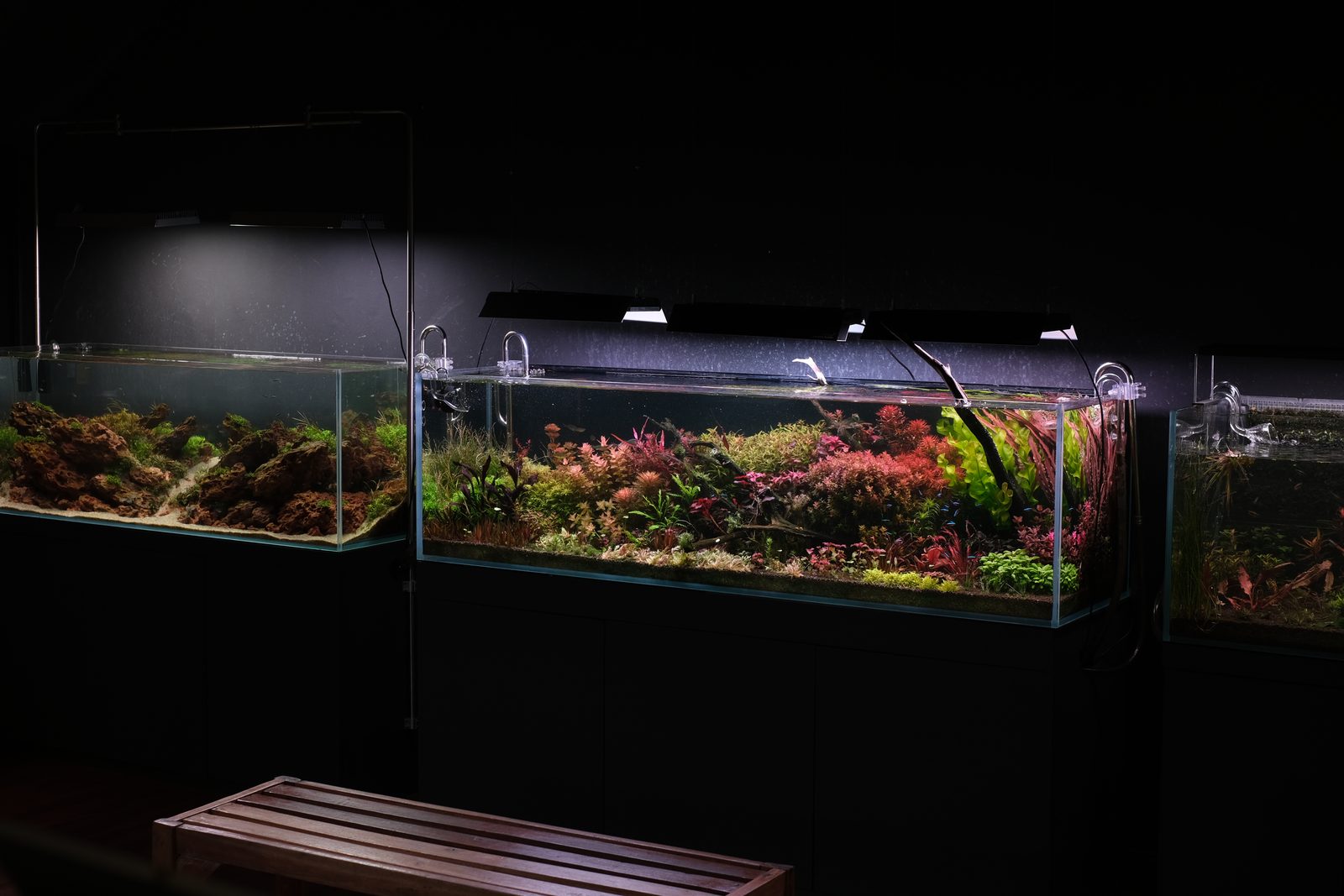 Inside the SILV Aquarium Design gallery in SS2, Petaling Jaya: lit aquariums, dark walls and a wood floor