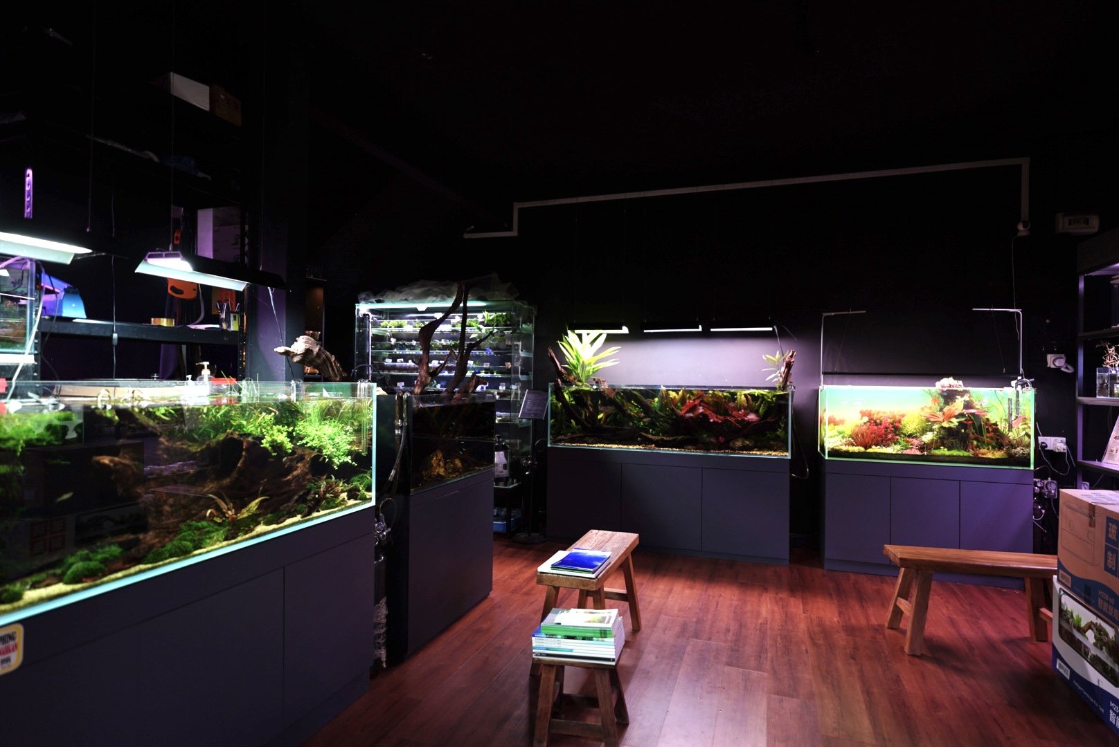 Wide view of the gallery room with planted tanks and wooden benches