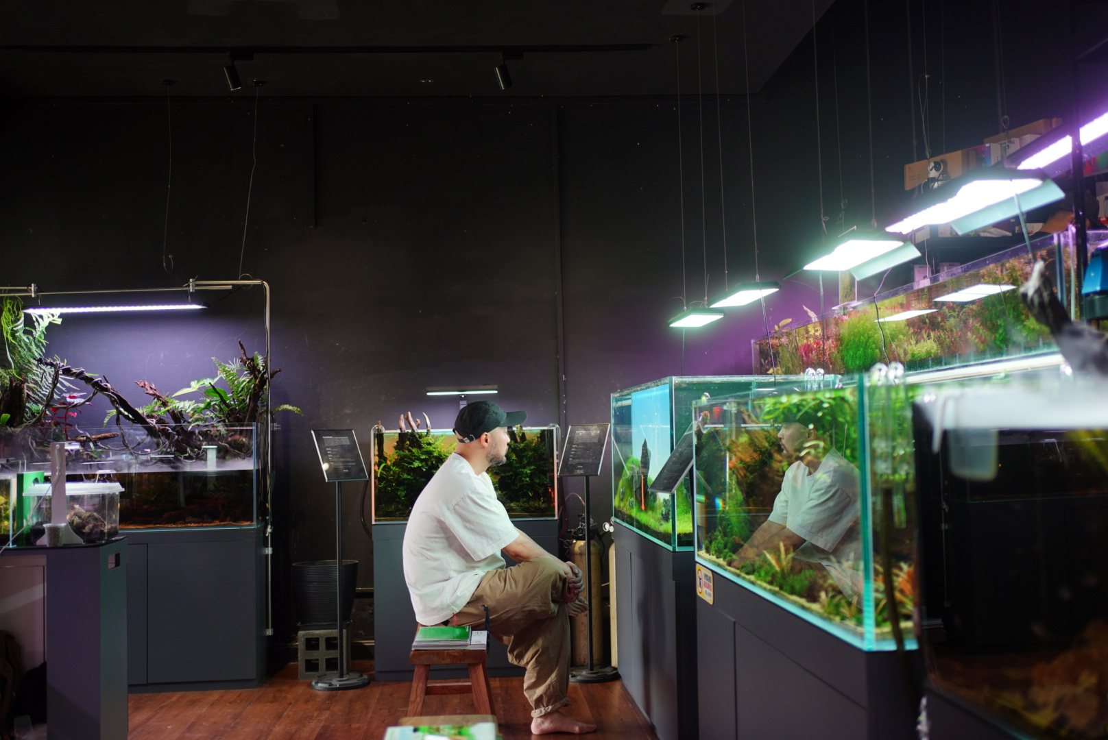A visitor seated on a stool, looking at lit tanks in the gallery