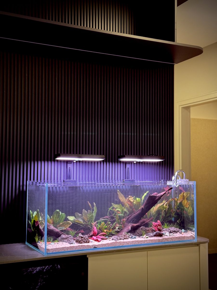 Custom home aquarium on a cabinet against a slatted wood wall in a living room