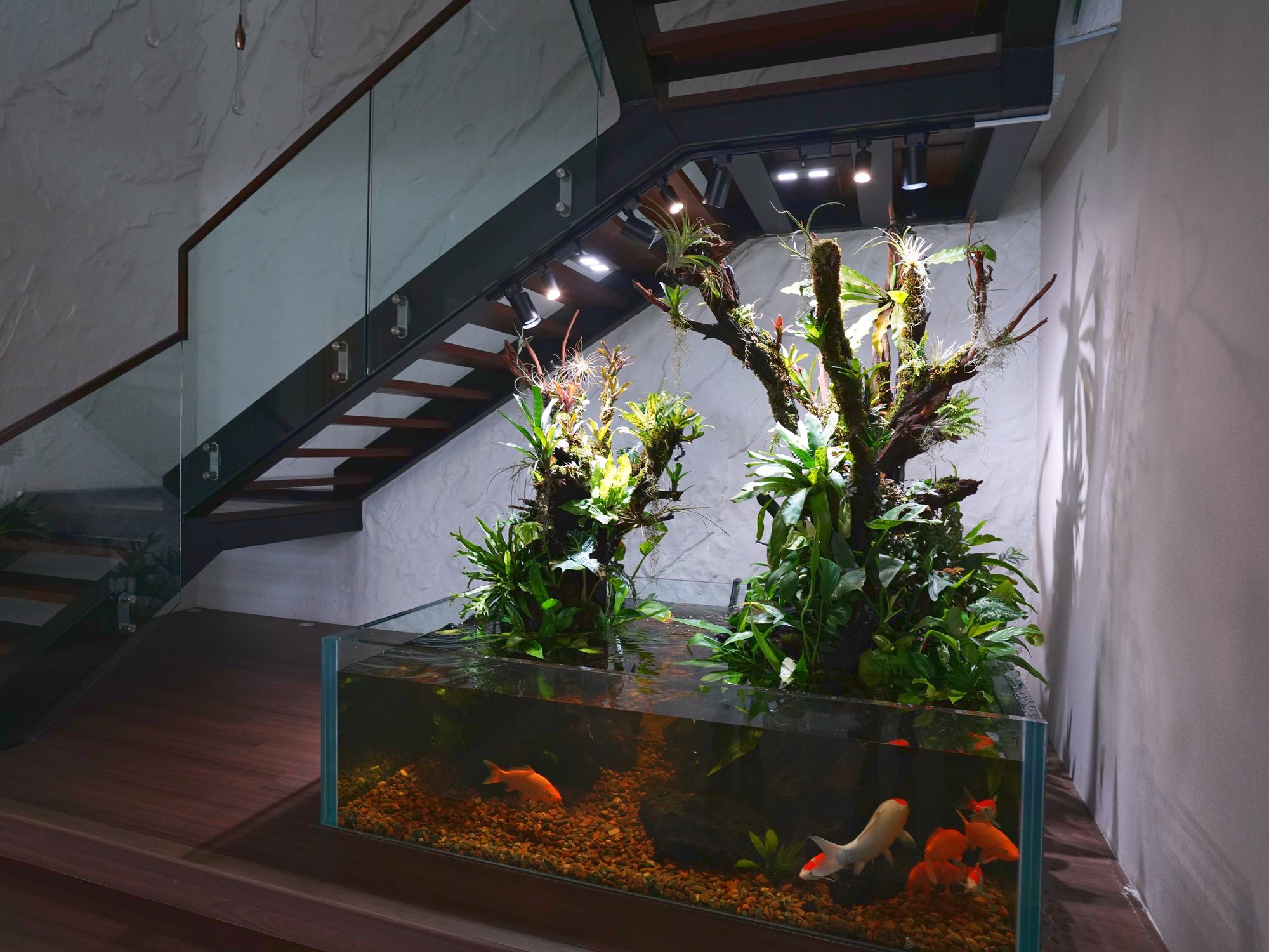 Custom paludarium with koi built under a staircase in a home