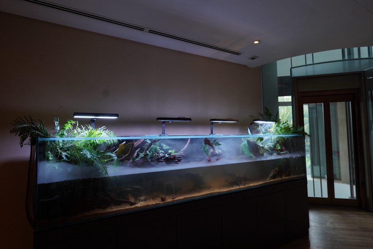 Long misty paludarium with ferns and driftwood under pendant lights in a building lobby